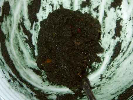 Brei Spirulinasticks gemischt