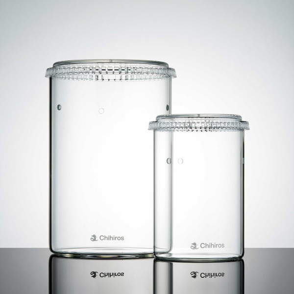 Chihiros | Glass Pot DEW