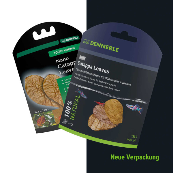 Dennerle Nano Catappa Leaves | Seemandelbaumblätter - 12 Stück