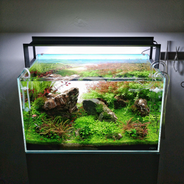 Markus-Lemke-Naturaquarium-Weissglas