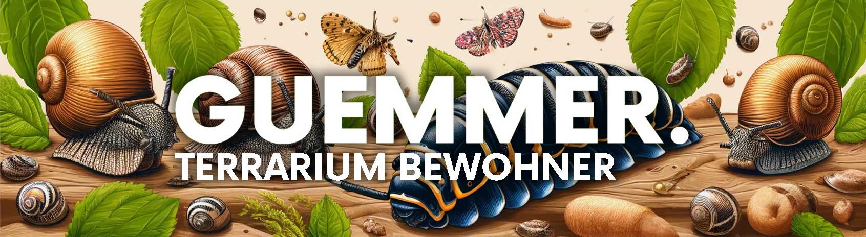 Garnelen-Guemmer Schnecken und Asseln