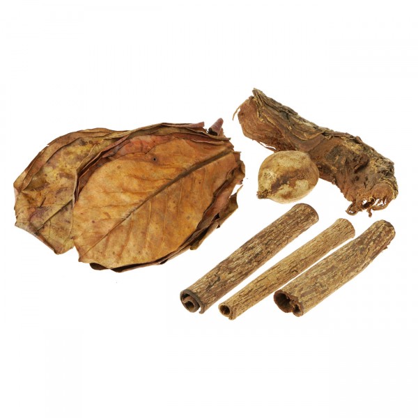 Seemandelbaum-Set | Wasserpflegemittel & Versteck