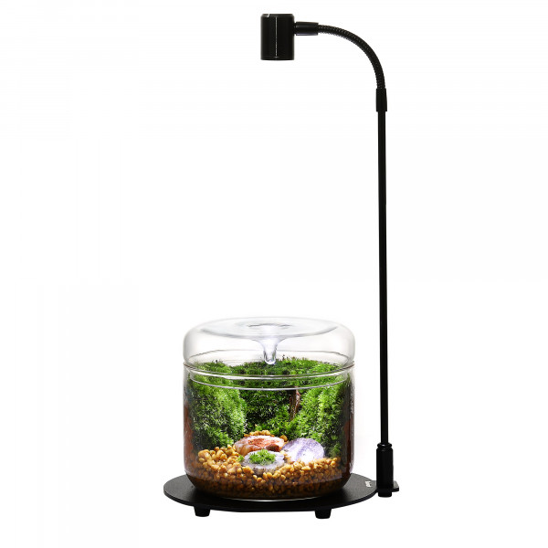 DX-03 Wabi-Kusa Lampe mit Bioloark Luji Cup
