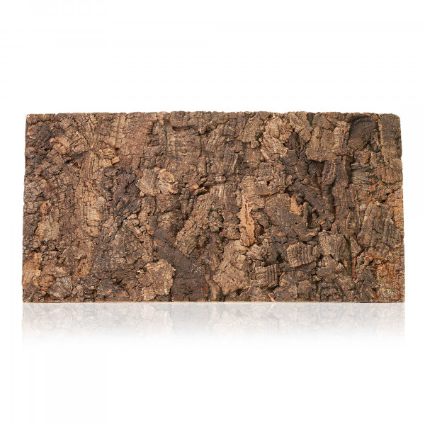 Korkrückwand aus Eichenkork | 60x30cm
