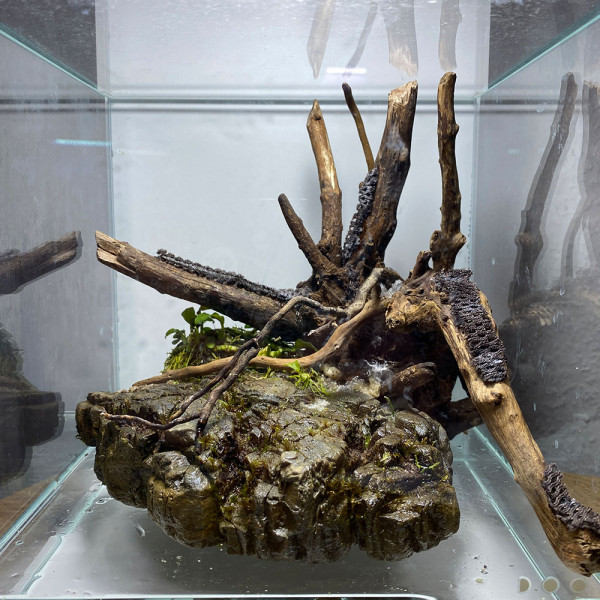 Hygrolon zur Wasserspeicherung im Terrarium
