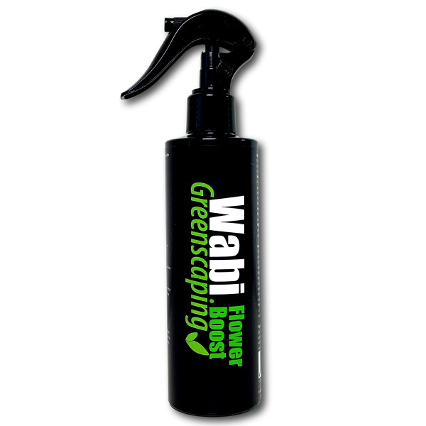 Greenscaping Wabi Kusa Flower Boost Blütenbildung