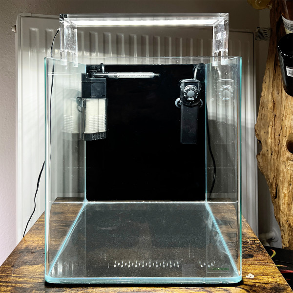 Kampffisch Aquarium Set | Betta Komplettset