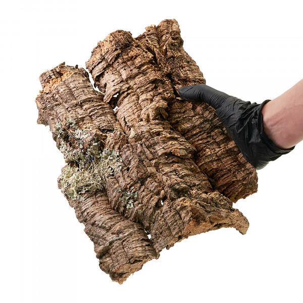 Korkplatten für Terrarium | 30-50cm