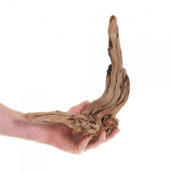 Flusswurzel, Driftwood | Einzelstück Premium 25-40cm