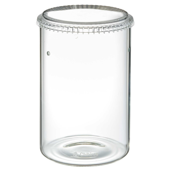 Chihiros | Glass Pot DEW