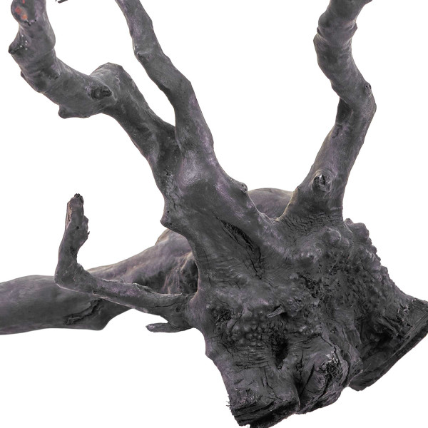 Schwarze Moorwurzel Fingerwurzel | Set Details