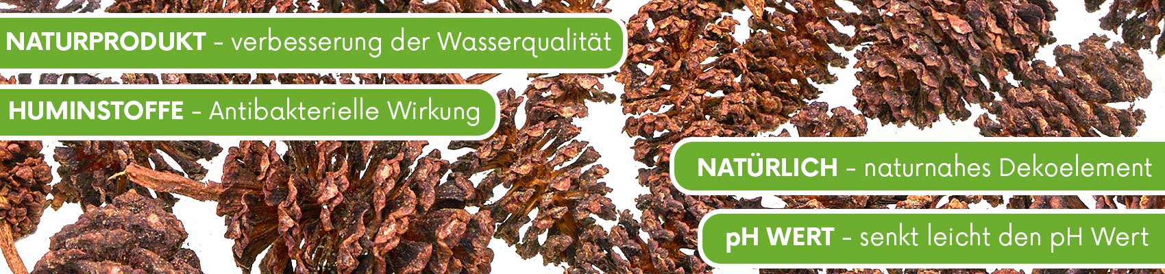 Erlenzapfen USP