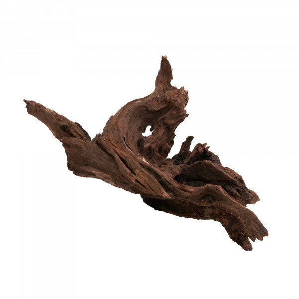 Flusswurzel, Driftwood | Einzelstück Premium 10-25cm
