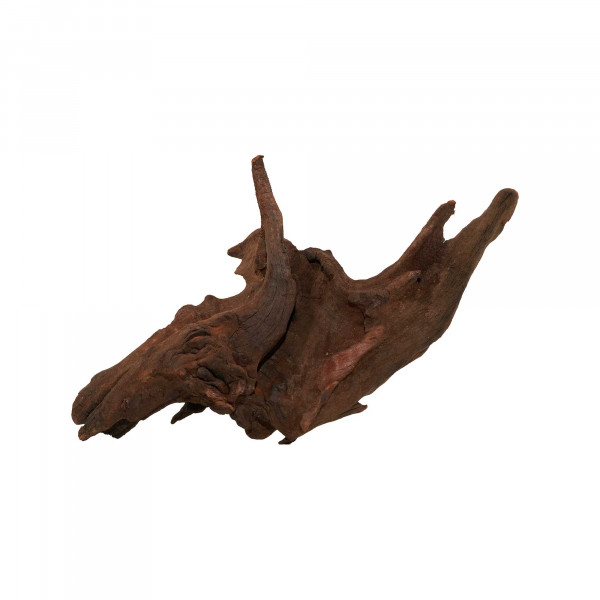 Flusswurzel, Driftwood | Einzelstück Premium 10-25cm