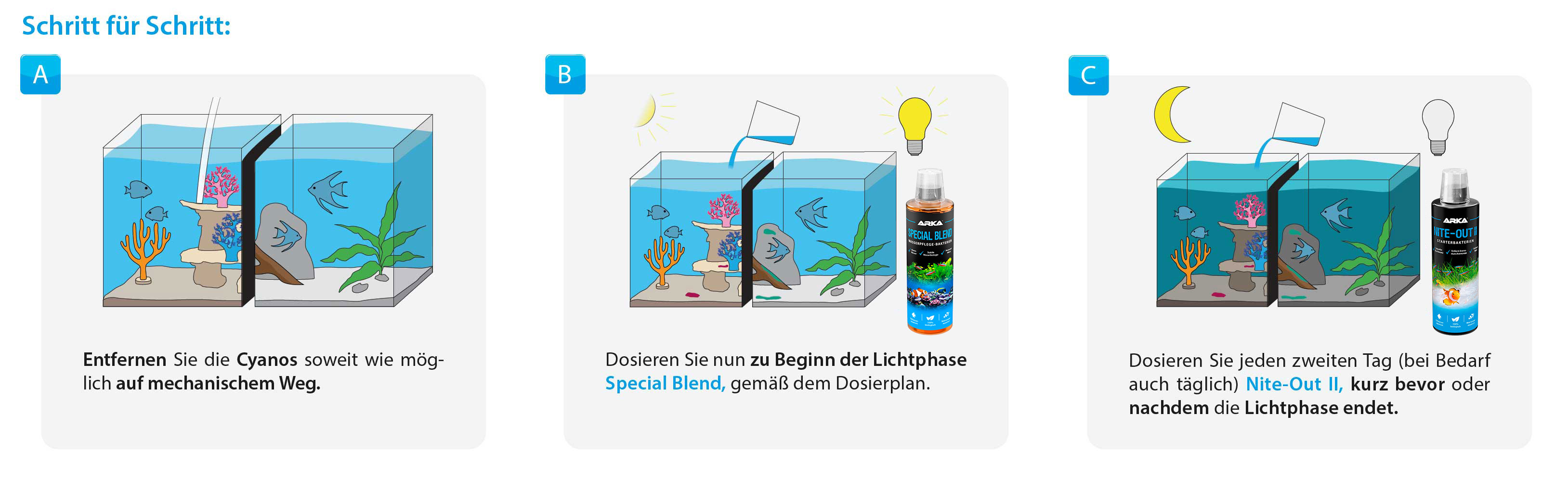 Arka Cyanobakterien