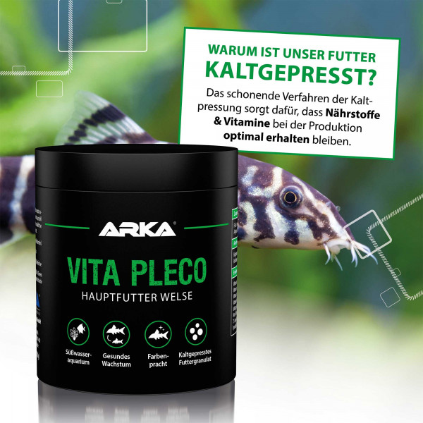 ARKA Microbe-Lift Vita Pleco | Welsfutter 250 ml