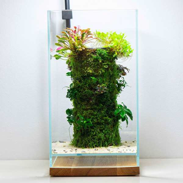 DOOA Neo Glass AIR