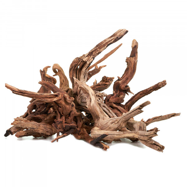 Flusswurzel | Driftwood | Einzelstück