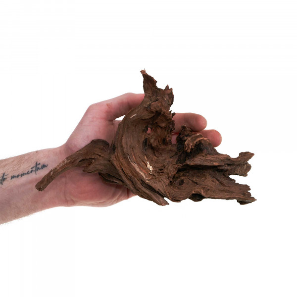 Flusswurzel | Driftwood | Einzelstück