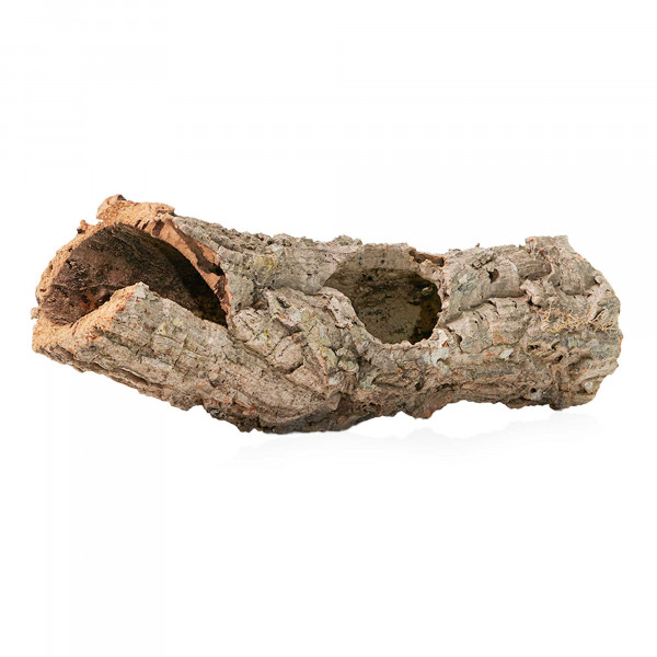 Korkröhren für Terrarium | Natürliche Verstecke und Klettermöglichkeiten Einzelstück