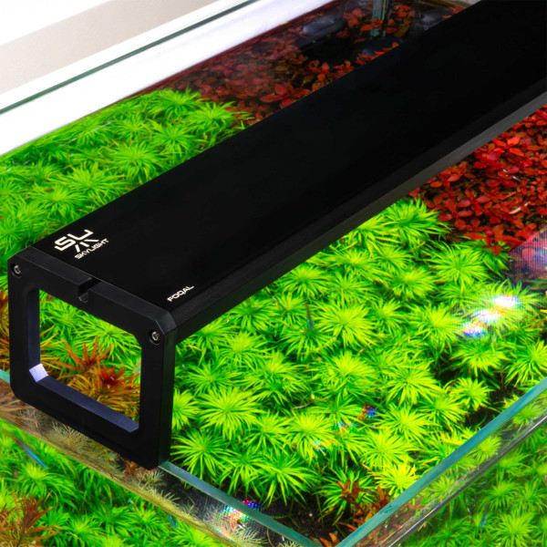 SKYLIGHT FOQAL WRGB | Aquarium LED