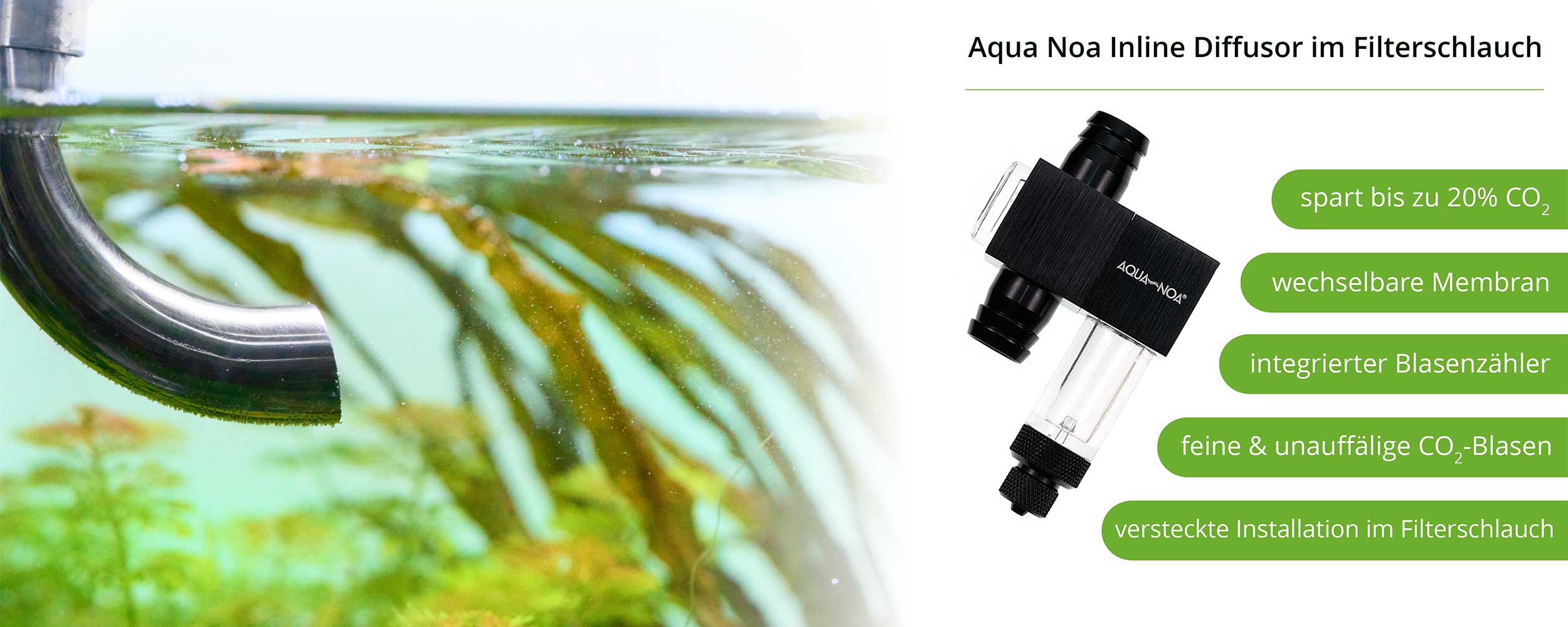 Sparsame Co2 zufuhr für dein Aquarium