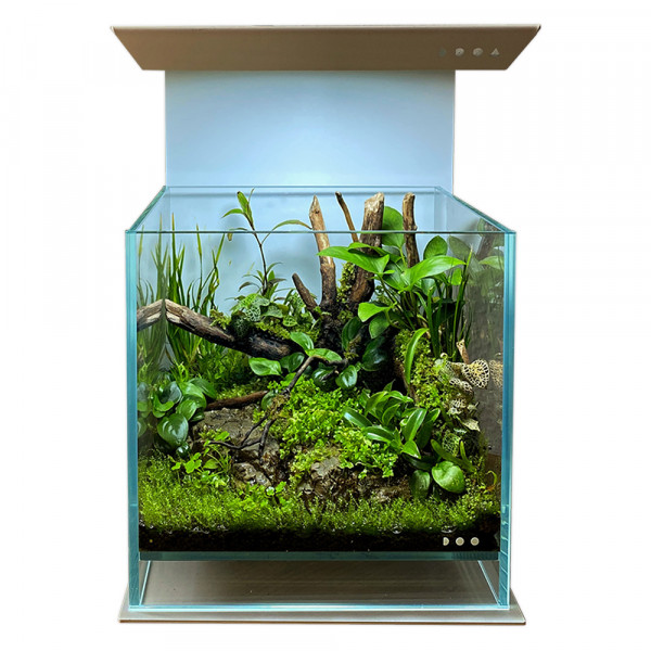 Hygrolon im Flaschengarten und Terrarium