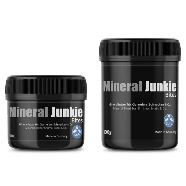 GlasGarten Mineral Junkie Bites Gruppe