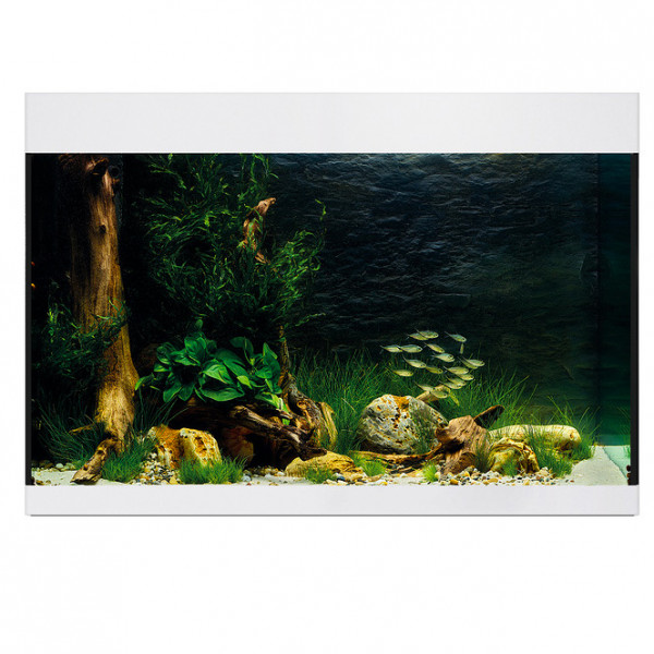Oase StyleLine 175 Aquarium Komplettset