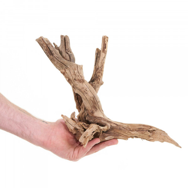 Flusswurzel, Driftwood | Einzelstück Premium 25-40cm