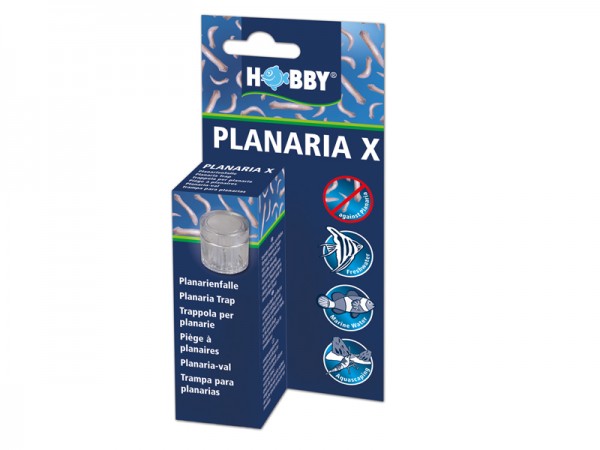 Hobby Planaria X Planarienfalle