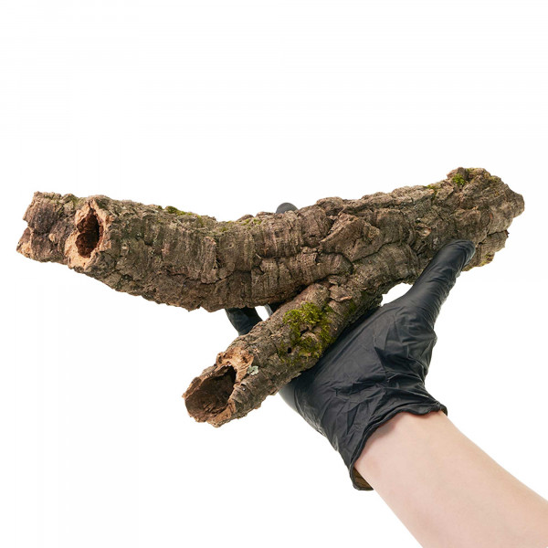 Korkröhren für Terrarium | Natürliche Verstecke und Klettermöglichkeiten Einzelstück