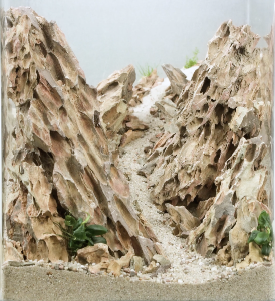 Tiefenwirkung_Aquascaping_1
