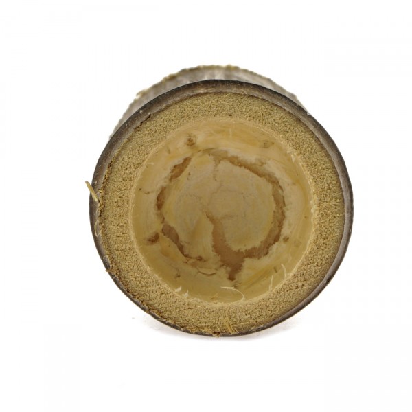 Bambus Höhle