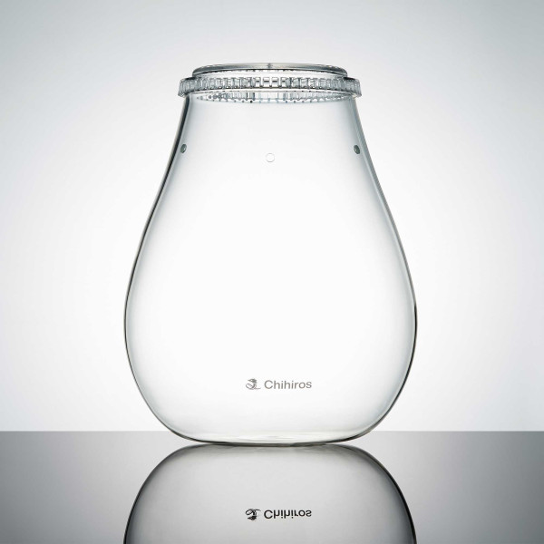 Chihiros | Glass Pot DEW
