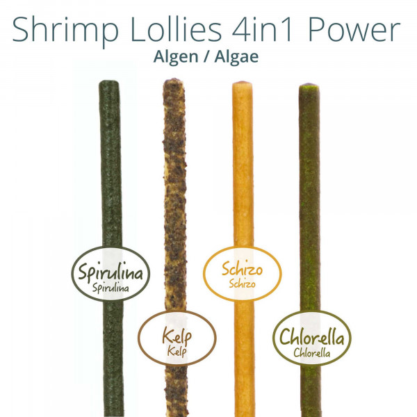 Shrimp Lollies - 4in1 Power