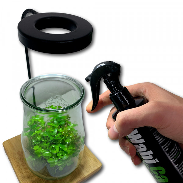 Greenscaping Wabi Start WabiKusa pflege