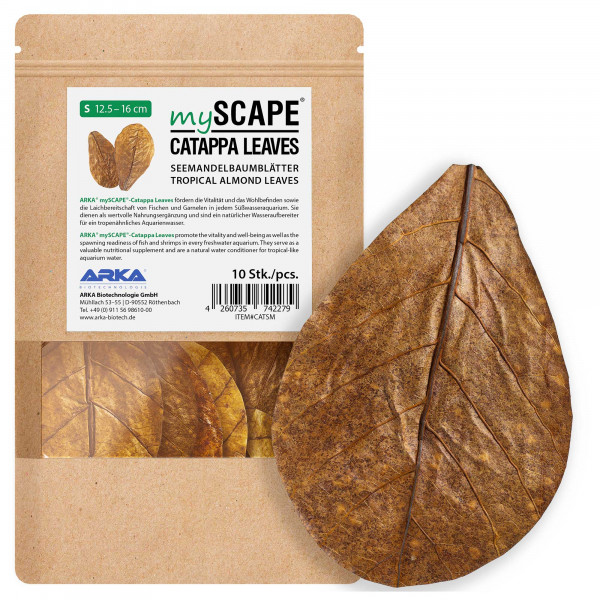 ARKA mySCAPE Catappa Leaves | Seemandelbaumblätter - 10 Stk - M