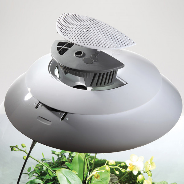 Oase biOrb AIR 60 | Automatisches Pflanzenterrarium