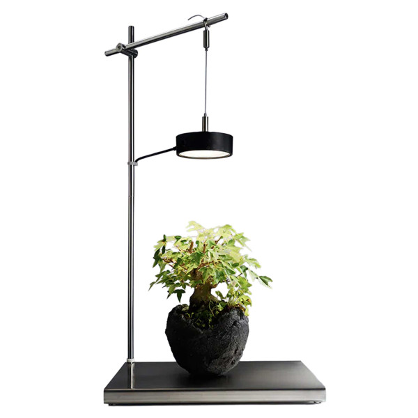 ONFxANA Stainless LIGHT Stand Set (Mist O+ CLEAR Black LED + Stand)