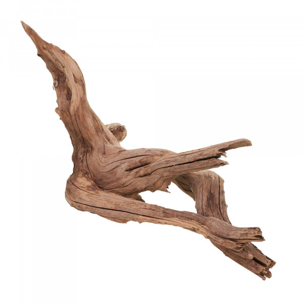 Flusswurzel, Driftwood | Einzelstück Premium 25-40cmFlusswurzel, Driftwood | Einzelstück Premium 25-40cm