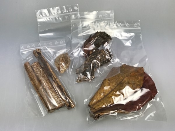 Seemandelbaum Set