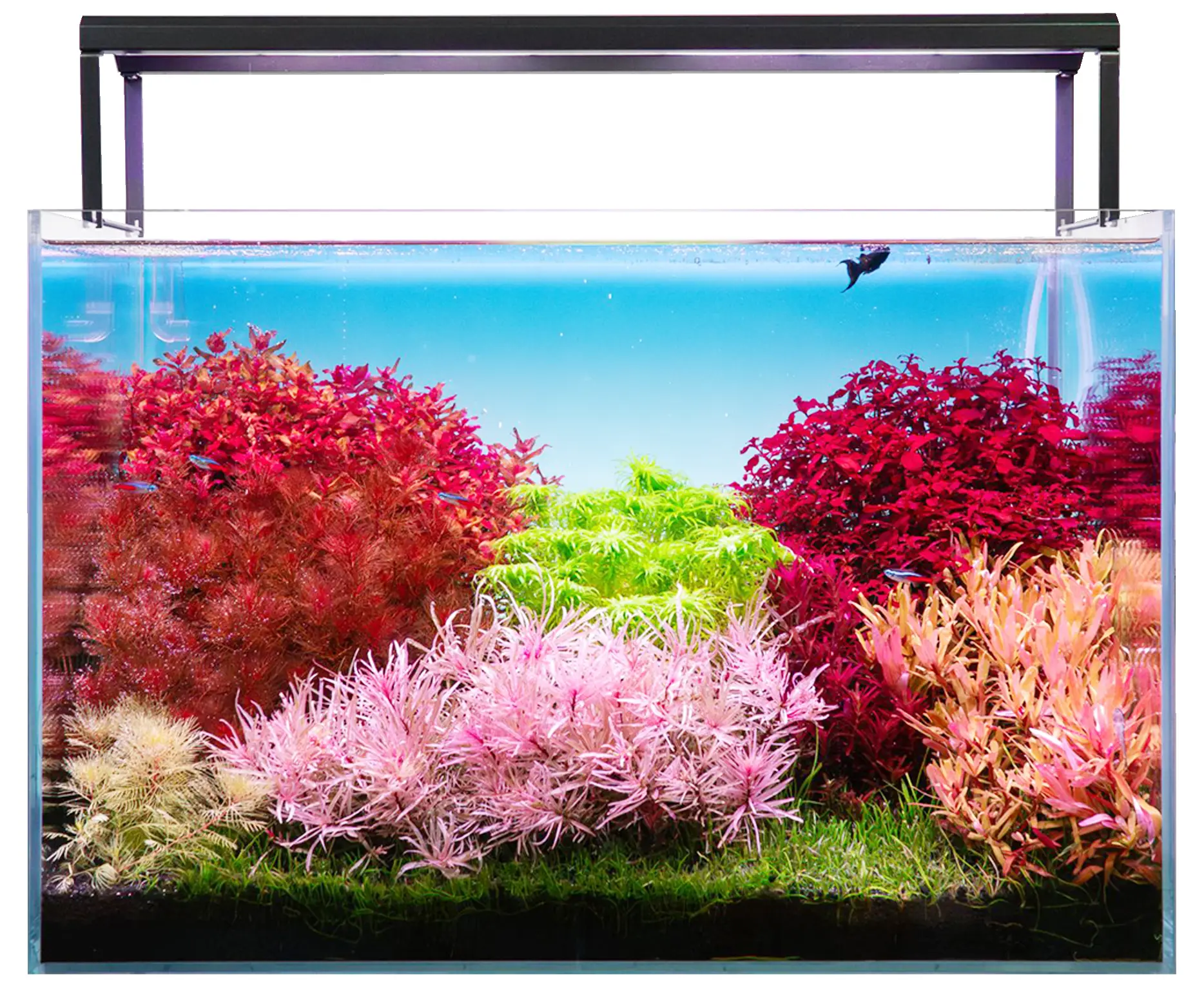 Skylight Hyperbar Aquarium LED Foto