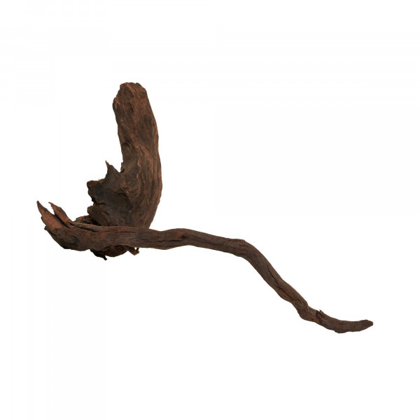 Flusswurzel, Driftwood | Einzelstück Premium 10-25cm