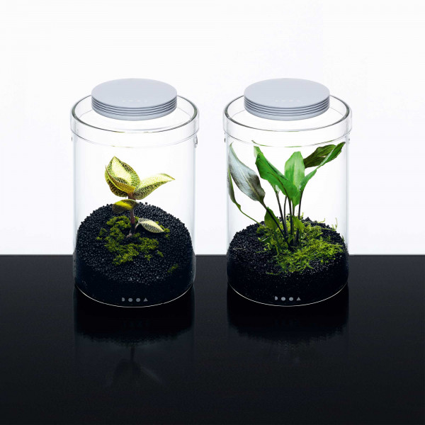 DOOA Glass Pot MARU 130