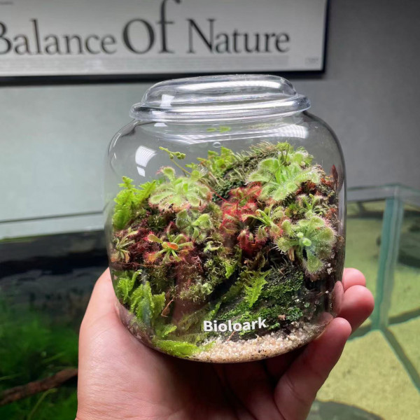 bioloark bubble cup