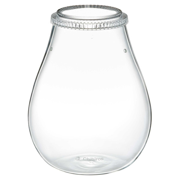 Chihiros | Glass Pot DEW