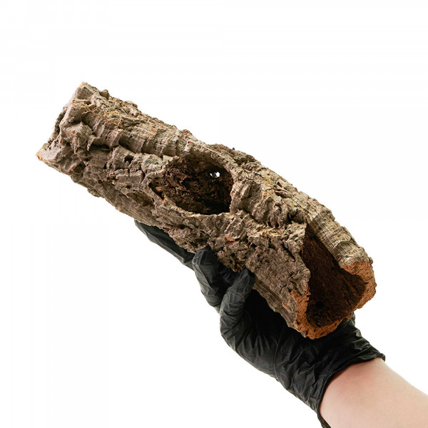 Korkröhren für Terrarium | Natürliche Verstecke und Klettermöglichkeiten Einzelstück