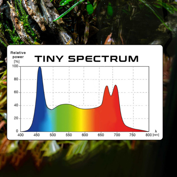 Skylight TINY 2 | Terrarium LED WRGB spektrum