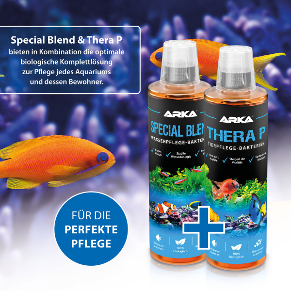 ARKA TheraP Info3